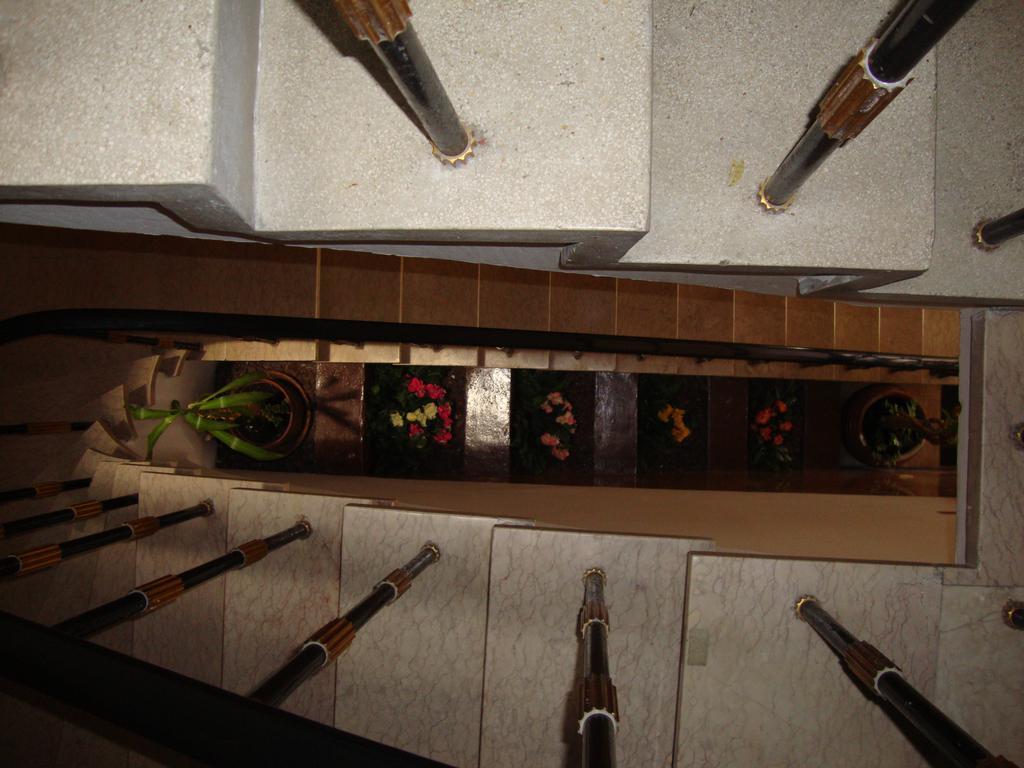 Alianca Alojamento Local غوآردا المظهر الخارجي الصورة